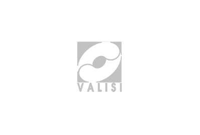 Valisi